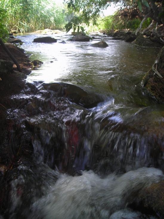 Велика Мечетня з panoramio.com - Велика Мечетня