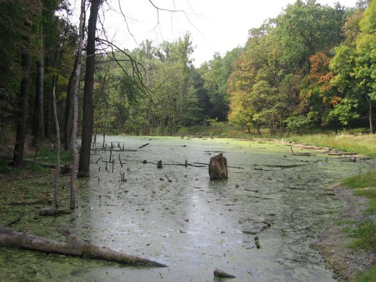 Бабаї з panoramio.com - Бабаи