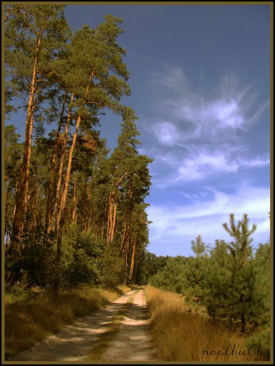Коженики з panoramio.com - Коженики