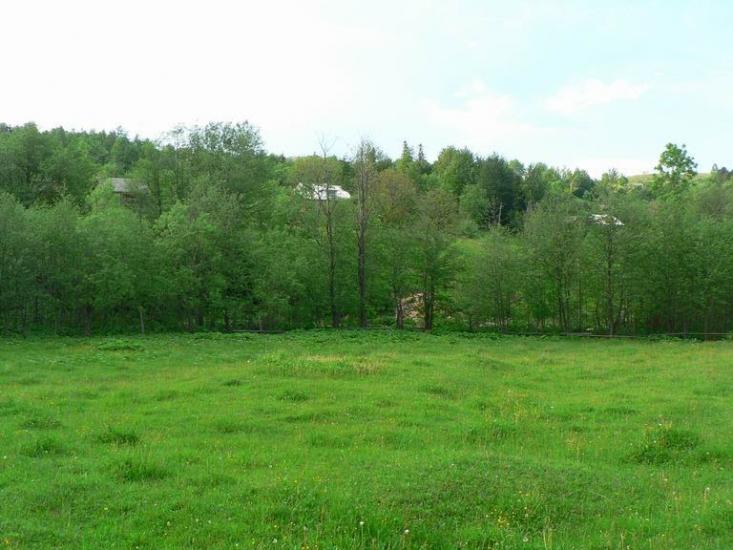 Шепіт з panoramio.com - Шепот