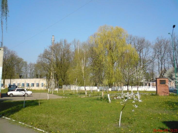 Андрушівка з panoramio.com - Андрушевка