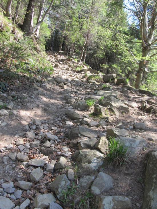 Кам'янка з panoramio.com - Каменка