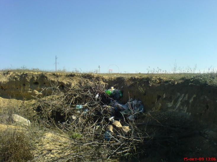 Новокам'янка з panoramio.com - Новокам'янка