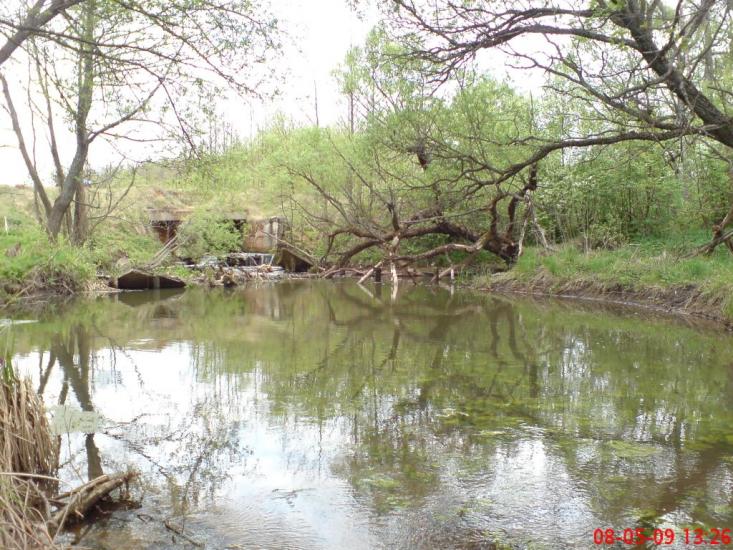 Кушкине з panoramio.com - Кушкино