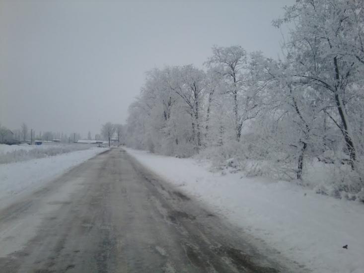 Дачне з panoramio.com - Дачное