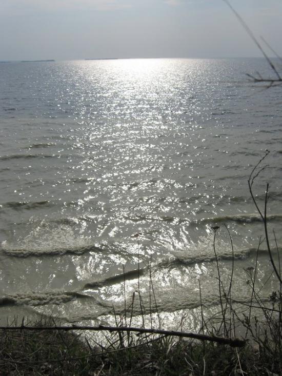Максимівка з panoramio.com - Максимівка