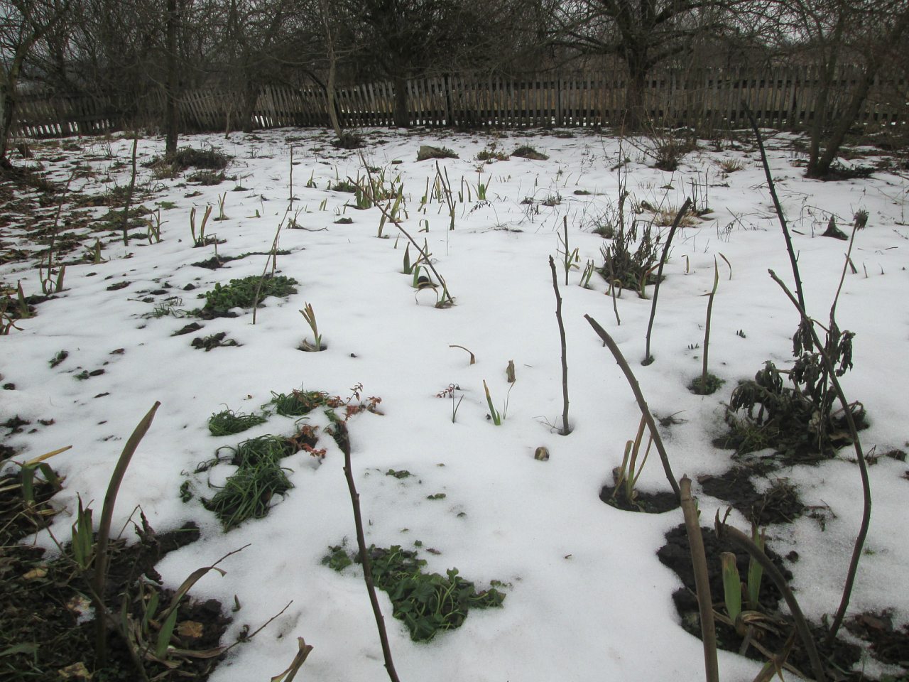 Мостове у лютому 2014 - Мостове