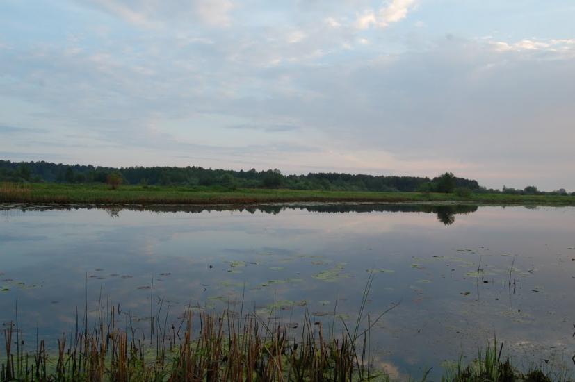 Куликовичі з panoramio.com - Kulykovychi