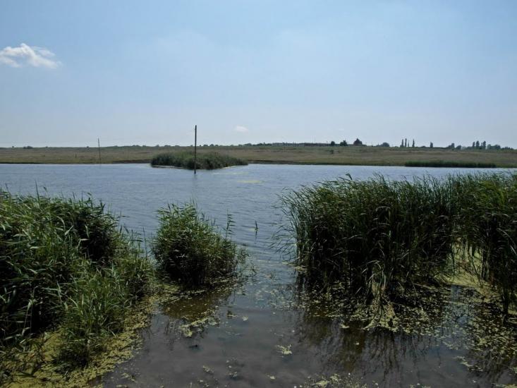 Дніпровка з panoramio.com - Дніпровка