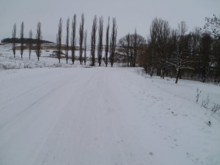 Суха Балка з panoramio.com - Суха Балка