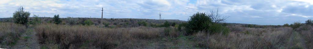 Старозаводське з panoramio.com - Старозаводское