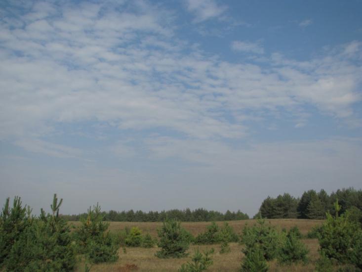 Дніпровське з panoramio.com - Дніпровське