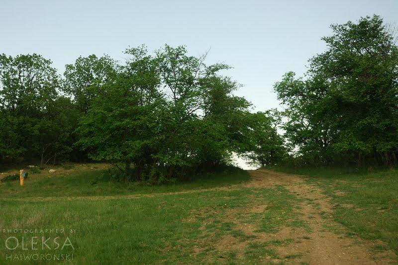 Холмівка з panoramio.com - Холмовка