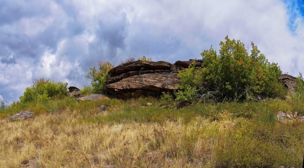 Ольховатка з panoramio.com - Ольховатка
