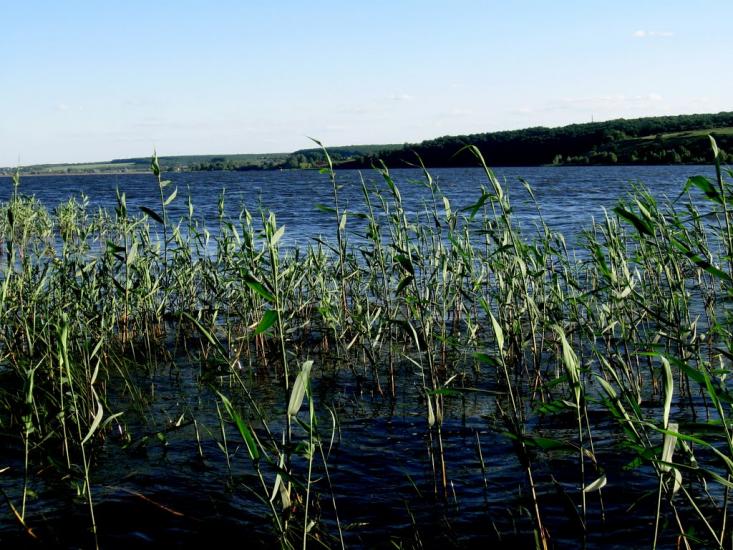 Липці з panoramio.com - Липцы