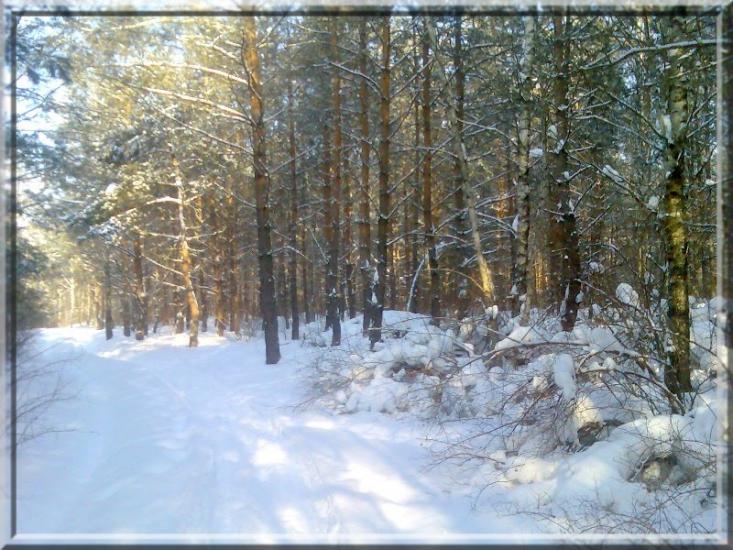 Кушкине з panoramio.com - Кушкине