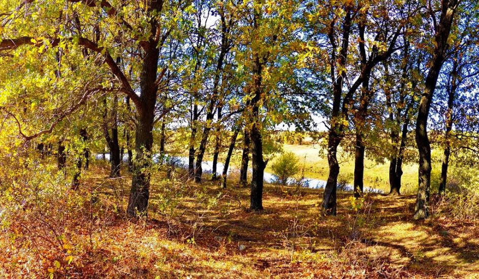 Нікішине з panoramio.com - Никишино