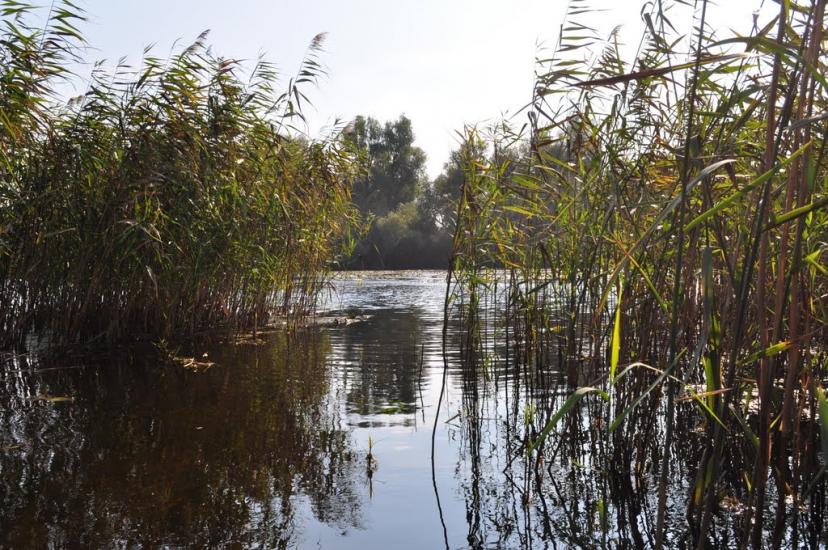 Іванівка з panoramio.com - Ивановка
