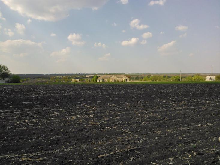 Безбородькове з panoramio.com - Безбородькове