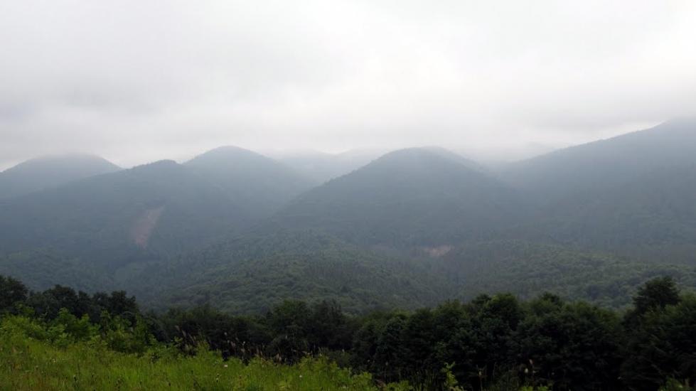 Зубриця з panoramio.com - Зубриця