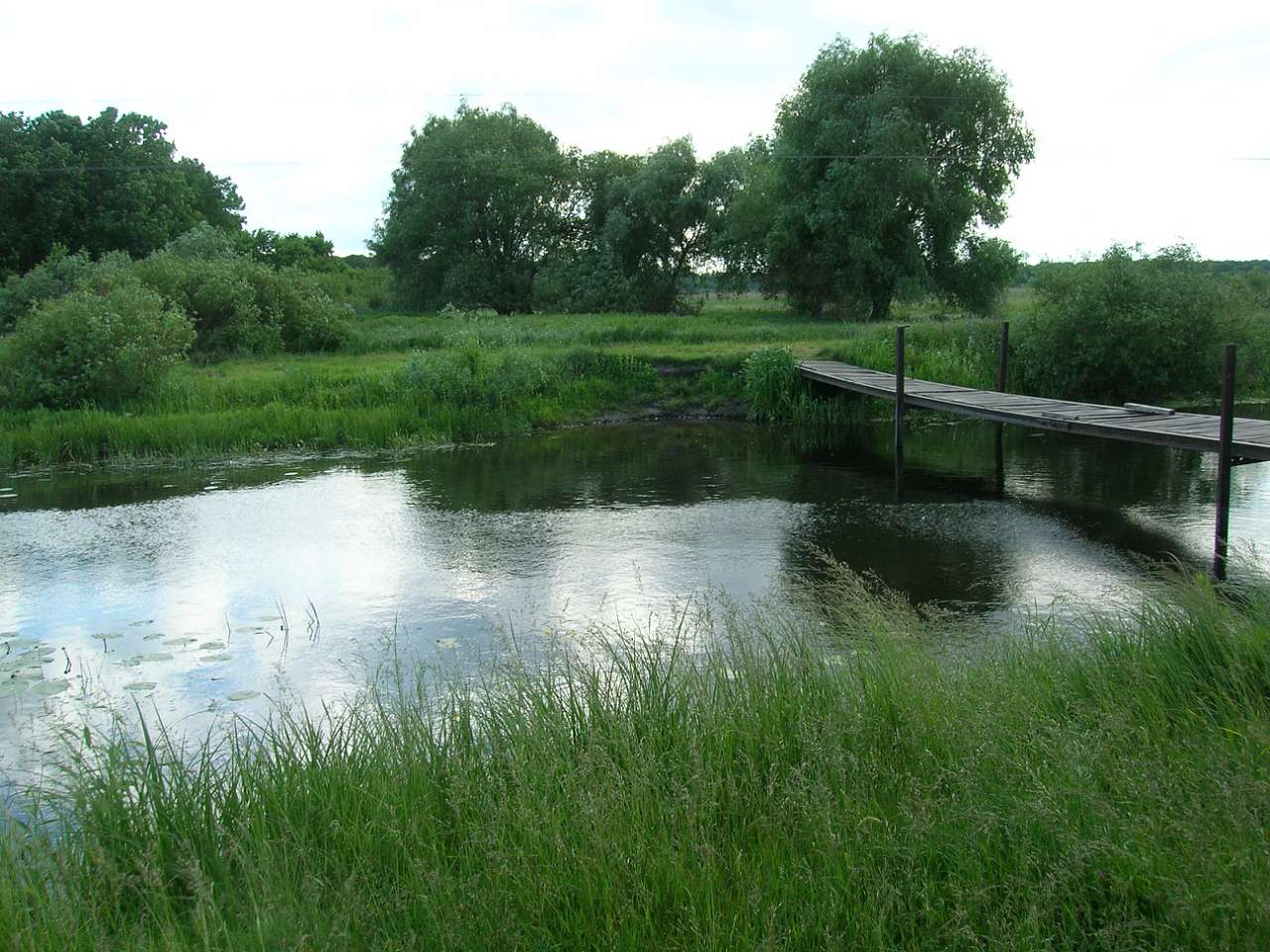 Онішки - Оржиця