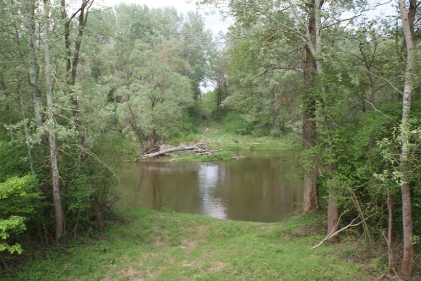 Кошари з panoramio.com - Кошари