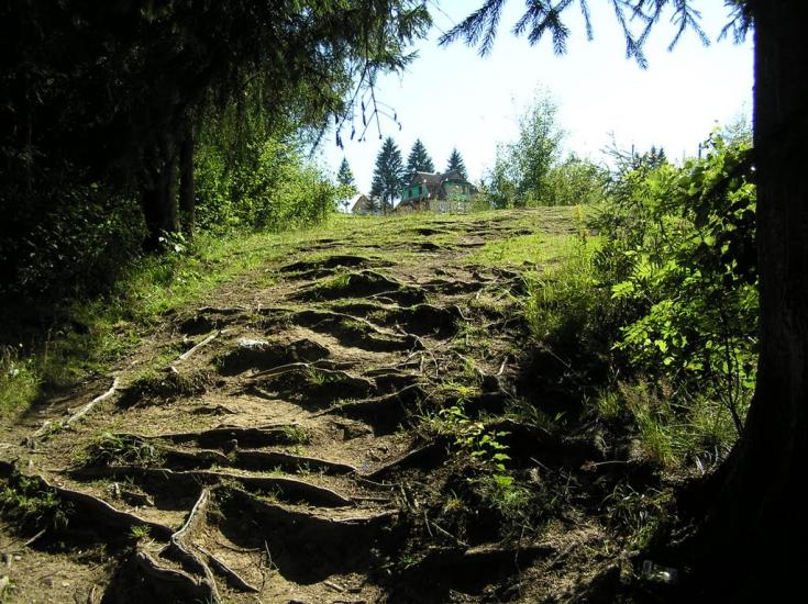 Вороненко з panoramio.com - Вороненко