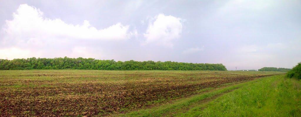 Адамівка з panoramio.com - Адамівка