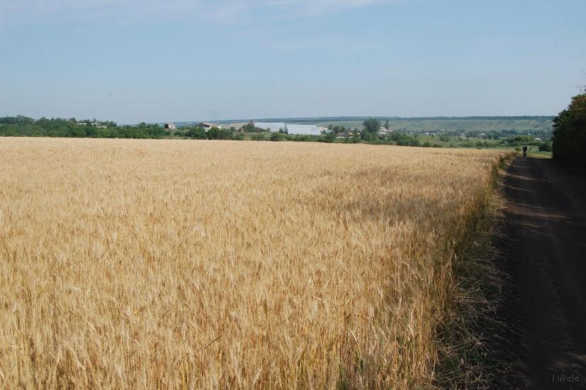 Булгаківка з panoramio.com - Булгаковка