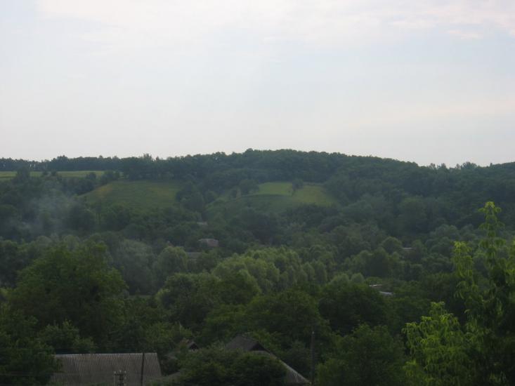 Великі Дмитровичі з panoramio.com - Великі Дмитровичі
