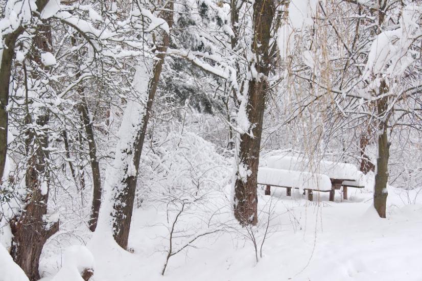 Любимівка з panoramio.com - Любимовка