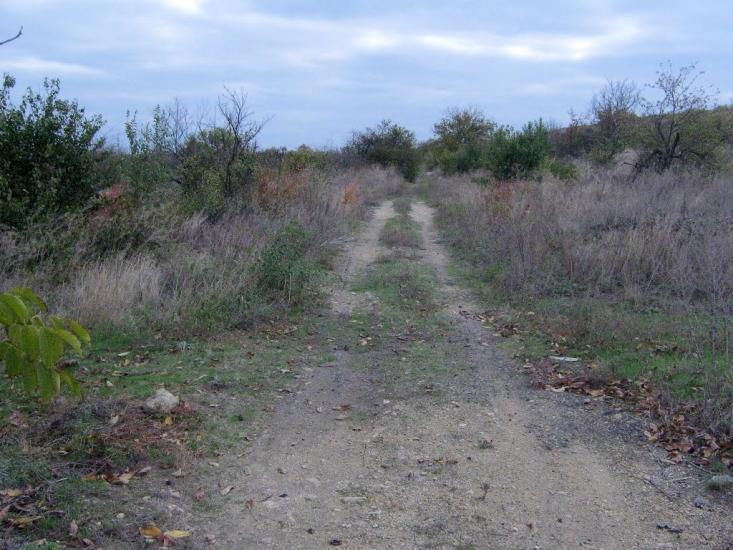 Старозаводське з panoramio.com - Старозаводское