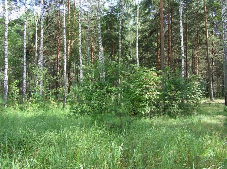 Горщик з panoramio.com - Горщик