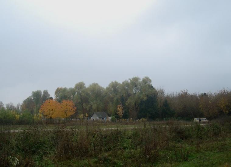 Вільхівці з panoramio.com - Вільхівці