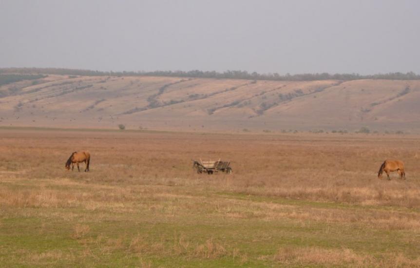 Михайлопіль з panoramio.com - Михайлопіль