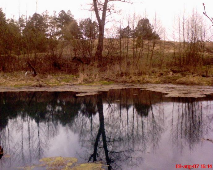 Кушкине з panoramio.com - Кушкино