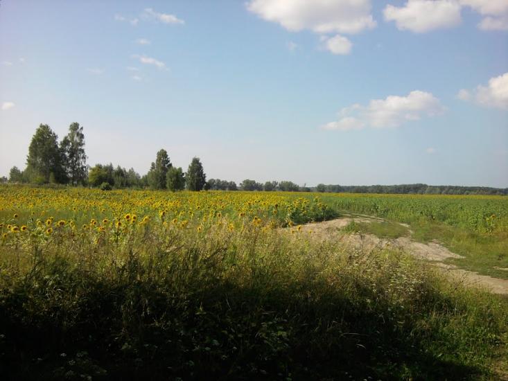 Терехівка з panoramio.com - Тереховка