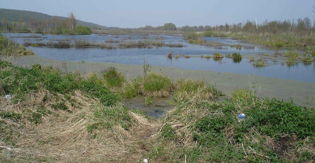 Ірдинь з panoramio.com - Ирдынь