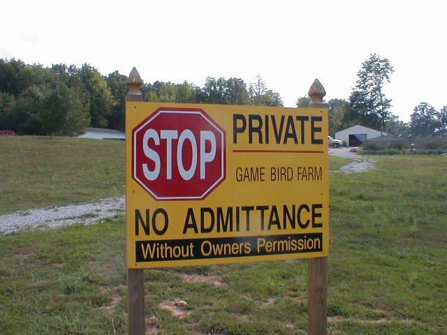 Бубнівка з panoramio.com - Бубновка