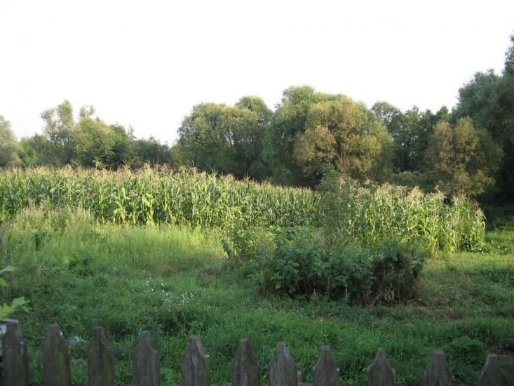 Бодаква з panoramio.com - Бодаква