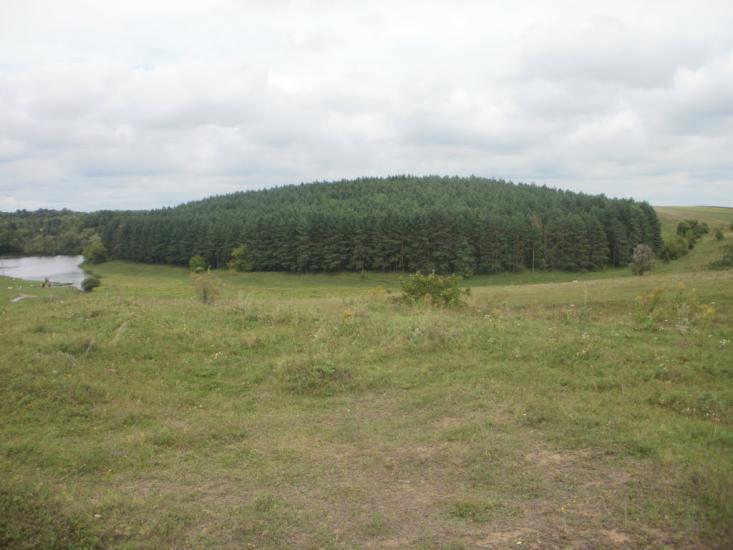 Чижівка з panoramio.com - Чижівка
