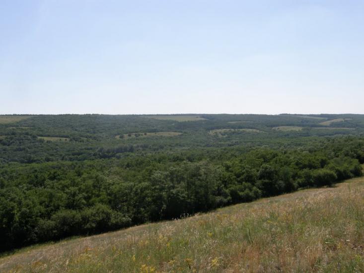Вахрушеве з panoramio.com - Vakhrusheve