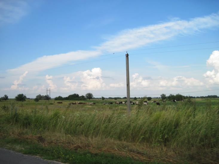 Кузьменки з panoramio.com - Кузьменки