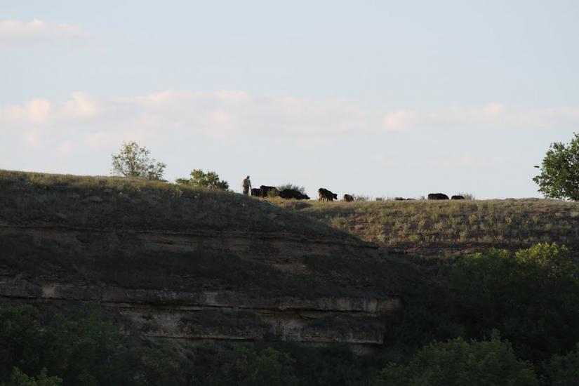 Кринки з panoramio.com - Кринки