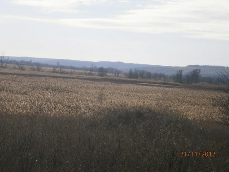 Колядівка з panoramio.com - Колядовка