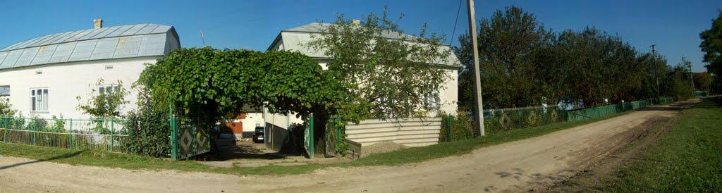 Добринів з panoramio.com - Dobryniv