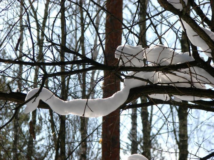 Славутич з panoramio.com - Славутич