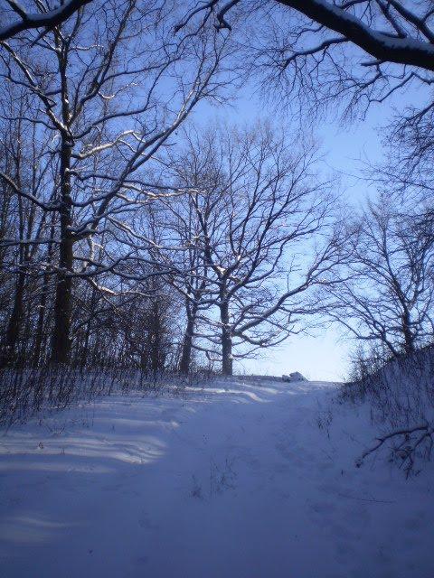 Петрівське з panoramio.com - Петрівське