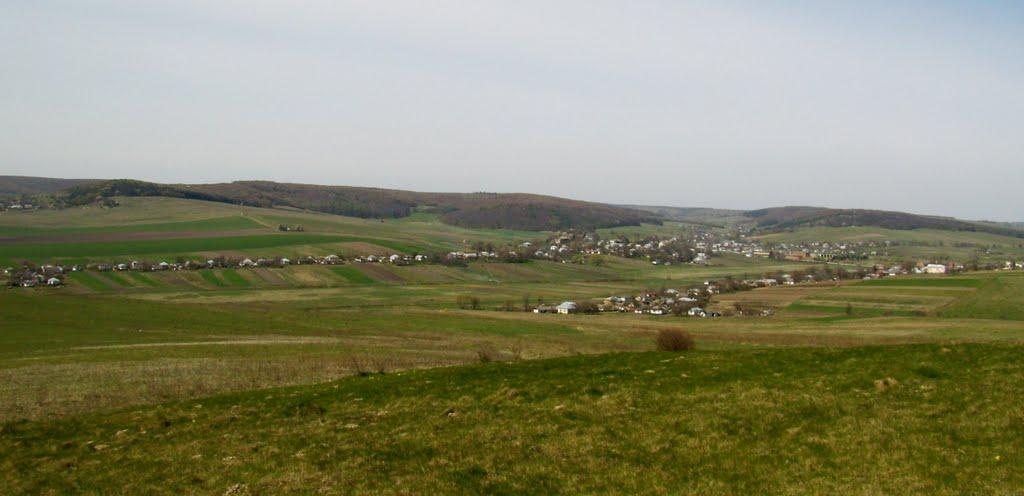 Добринів з panoramio.com - Dobryniv