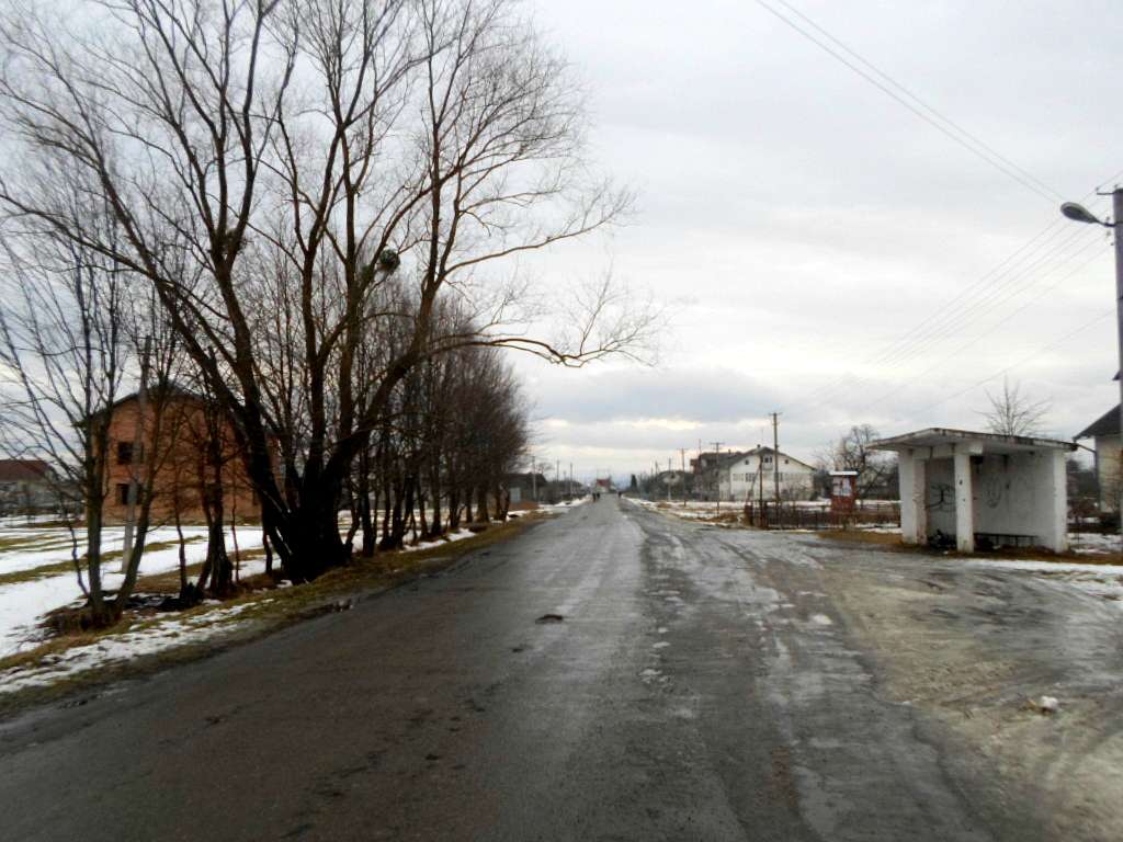 Краєвид - Задеревач